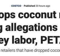 因泰农用猴子摘椰子 美多家企业封杀泰国椰子制品