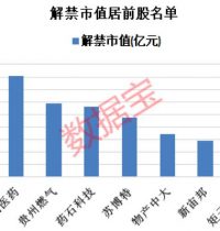 百万股东揪心！超600亿解禁洪流来袭 3股解禁超50%