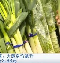 大葱涨价近3倍 每公斤超7元！”葱葱涨价”为哪般？